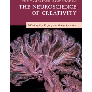 Cambridge University Press The Cambridge Handbook Of The Neuroscience Of Creativity Cambridge University Press The Cambridge Handbook Of The Neuroscience Of Creativity