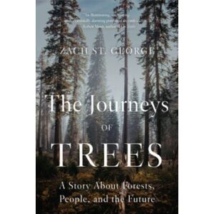 WW Norton & Co The Journeys Of Trees : A Story About Forests, People, And The Future WW Norton & Co The Journeys Of Trees : A Story About Forests, People, And The Future