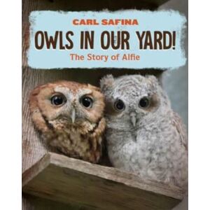 WW Norton & Co Owls In Our Yard! : The Story Of Alfie WW Norton & Co Owls In Our Yard! : The Story Of Alfie