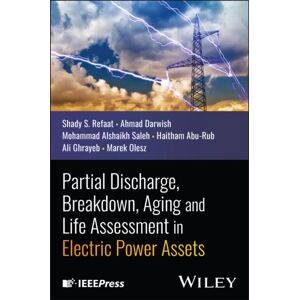 John Wiley & Sons Inc Partial Discharge, Breakdown, Aging And Life Assessment In Electric Power Assets John Wiley & Sons Inc Partial Discharge, Breakdown, Aging And Life Assessment In Electric Power Assets