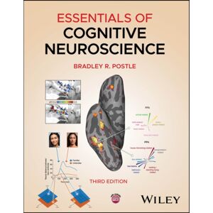 John Wiley & Sons Inc Essentials Of Cognitive Neuroscience John Wiley & Sons Inc Essentials Of Cognitive Neuroscience