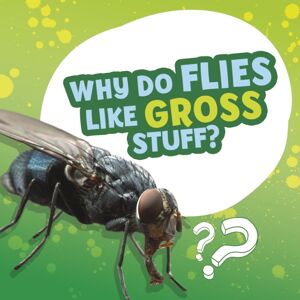 Capstone Global Library Ltd Why Do Flies Like Gross Stuff? Capstone Global Library Ltd Why Do Flies Like Gross Stuff?