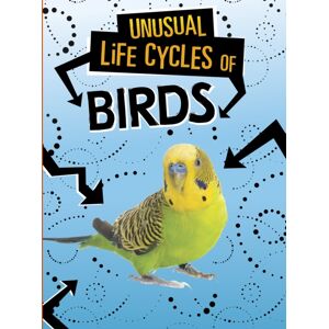 Capstone Global Library Ltd Unusual Life Cycles Of Birds Capstone Global Library Ltd Unusual Life Cycles Of Birds