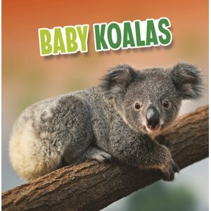 Capstone Global Library Ltd Baby Koalas Capstone Global Library Ltd Baby Koalas