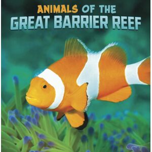 Capstone Global Library Ltd Animals Of The Great Barrier Reef Capstone Global Library Ltd Animals Of The Great Barrier Reef