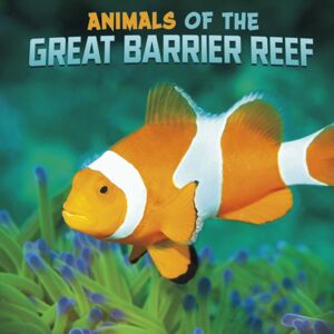 Capstone Global Library Ltd Animals Of The Great Barrier Reef Capstone Global Library Ltd Animals Of The Great Barrier Reef
