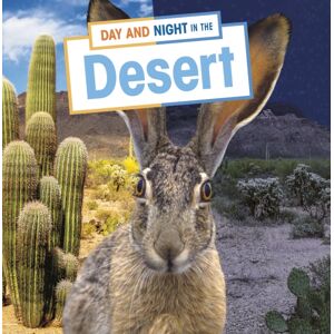 Capstone Global Library Ltd Day And Night In The Desert Capstone Global Library Ltd Day And Night In The Desert