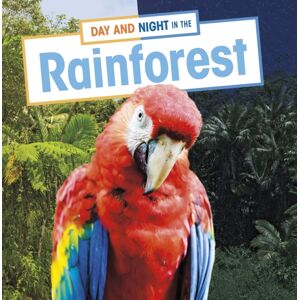 Capstone Global Library Ltd Day And Night In The Rainforest Capstone Global Library Ltd Day And Night In The Rainforest