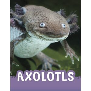 Capstone Global Library Ltd Axolotls Capstone Global Library Ltd Axolotls