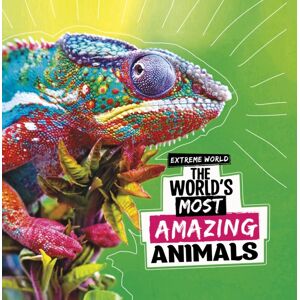 Capstone Global Library Ltd The World'S Most Amazing Animals Capstone Global Library Ltd The World'S Most Amazing Animals
