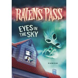 Capstone Global Library Ltd Eyes In The Sky Capstone Global Library Ltd Eyes In The Sky