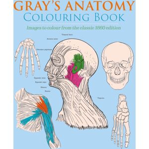 Arcturus Publishing Ltd Gray'S Anatomy Colouring Book : Images To Colour From The Classic 1860 Edition Arcturus Publishing Ltd Gray'S Anatomy Colouring Book : Images To Colour From The Classic 1860 Edition