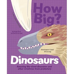 Arcturus Publishing Ltd How Big? Dinosaurs : Amazing Life-Sized Dinosaurs And Other Creatures From Prehistory Arcturus Publishing Ltd How Big? Dinosaurs : Amazing Life-Sized Dinosaurs And Other Creatures From Prehistory