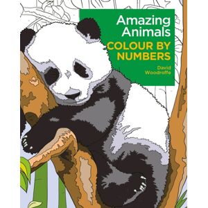 Arcturus Publishing Ltd Amazing Animals Colour By Numbers Arcturus Publishing Ltd Amazing Animals Colour By Numbers