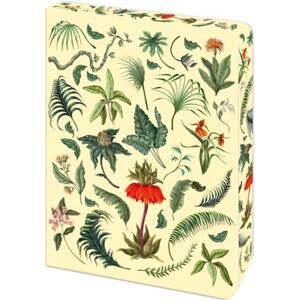 Arcturus Publishing Ltd The Fern Journal : Blank Lined Notebook Arcturus Publishing Ltd The Fern Journal : Blank Lined Notebook