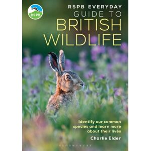 Bloomsbury Publishing PLC Rspb Everyday Guide To British Wildlife : Identify Our Common Species And Learn More About Their Lives Bloomsbury Publishing PLC Rspb Everyday Guide To British Wildlife : Identify Our Common Species And Learn More About Their Lives