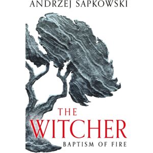 Orion Publishing Co Baptism Of Fire : Witcher 3 – Now A Major Netflix Show Orion Publishing Co Baptism Of Fire : Witcher 3 – Now A Major Netflix Show
