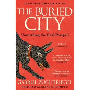 Hodder & Stoughton The Buried City : Unearthing The Real Pompeii - The Instant Sunday Times seller Hodder & Stoughton The Buried City : Unearthing The Real Pompeii - The Instant Sunday Times seller