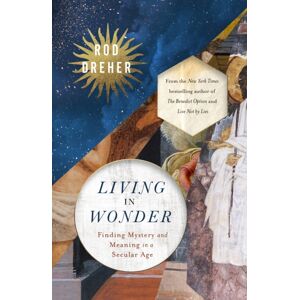 Hodder & Stoughton Living In Wonder : Finding Mystery And Meaning In A Secular Age Hodder & Stoughton Living In Wonder : Finding Mystery And Meaning In A Secular Age