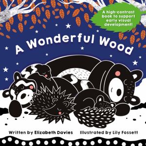 Kennedy Publishing A Wonderful Wood: A Black-And-White High-Contrast Storybook For borns And Children Aged 0-5 Kennedy Publishing A Wonderful Wood: A Black-And-White High-Contrast Storybook For borns And Children Aged 0-5
