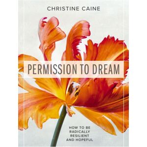 Thomas Nelson Publishers Permission To Dream : How To Be Radically Resilient And Hopeful Thomas Nelson Publishers Permission To Dream : How To Be Radically Resilient And Hopeful