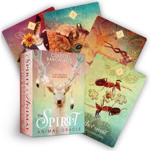 Hay House Inc The Spirit Animal Oracle : A 68-Card Deck - Animal Spirit Cards With Guidebook Hay House Inc The Spirit Animal Oracle : A 68-Card Deck - Animal Spirit Cards With Guidebook