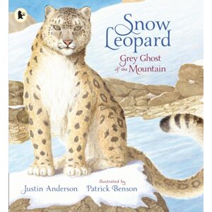 Walker Books Ltd Snow Leopard: Grey Ghost Of The Mountain Walker Books Ltd Snow Leopard: Grey Ghost Of The Mountain