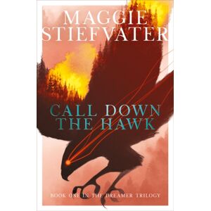 Scholastic Call Down The Hawk: The Dreamer Trilogy #1 Scholastic Call Down The Hawk: The Dreamer Trilogy #1