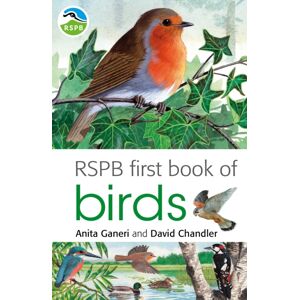 Bloomsbury Publishing PLC Rspb First Book Of Birds Bloomsbury Publishing PLC Rspb First Book Of Birds