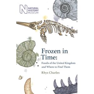 Orion Publishing Co Frozen In Time : Fossils Of The United Kingdom And Where To Find Them Orion Publishing Co Frozen In Time : Fossils Of The United Kingdom And Where To Find Them