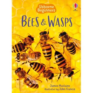 Usborne Publishing Ltd Bees And Wasps Usborne Publishing Ltd Bees And Wasps