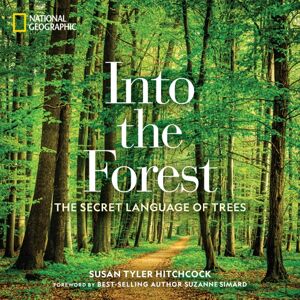 National Geographic Society Into The Forest : The Secret Language Of Trees National Geographic Society Into The Forest : The Secret Language Of Trees