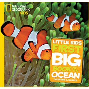 National Geographic Kids Little Kids First Big Book Of The Ocean National Geographic Kids Little Kids First Big Book Of The Ocean