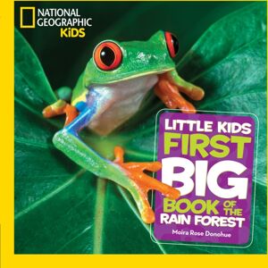 National Geographic Kids Little Kids First Big Book Of The Rainforest National Geographic Kids Little Kids First Big Book Of The Rainforest