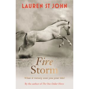 Hachette Children's Group The One Dollar Horse: Fire Storm : Book 3 Hachette Children's Group The One Dollar Horse: Fire Storm : Book 3