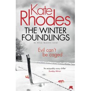 Hodder & Stoughton The Winter Foundlings : Alice Quentin 3 Hodder & Stoughton The Winter Foundlings : Alice Quentin 3