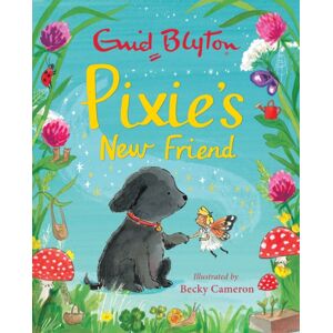 Hachette Children's Group Pixie'S Friend Hachette Children's Group Pixie'S Friend