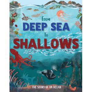 Hachette Children's Group From Deep Sea To Shallows: The Story Of Oceans Hachette Children's Group From Deep Sea To Shallows: The Story Of Oceans