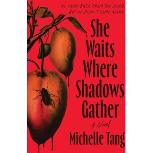 Sourcebooks, Inc She Waits Where Shadows Gather : A Novel Sourcebooks, Inc She Waits Where Shadows Gather : A Novel