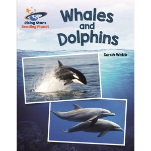Hachette Learning Reading Planet - Whales And Dolphins - White: Galaxy Hachette Learning Reading Planet - Whales And Dolphins - White: Galaxy