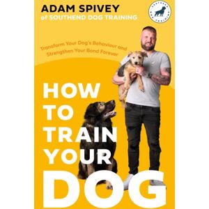 Little, Brown Book Group How To Train Your Dog : Transform Your Dog’s Behaviour And Strengthen Your Bond Forever Little, Brown Book Group How To Train Your Dog : Transform Your Dog’s Behaviour And Strengthen Your Bond Forever