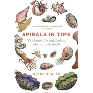 Bloomsbury Publishing PLC Spirals In Time : The Secret Life And Curious Afterlife Of Seashells Bloomsbury Publishing PLC Spirals In Time : The Secret Life And Curious Afterlife Of Seashells