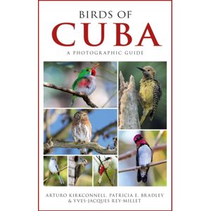 Bloomsbury Publishing PLC Photographic Guide To The Birds Of Cuba Bloomsbury Publishing PLC Photographic Guide To The Birds Of Cuba