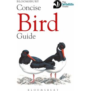 Bloomsbury Publishing PLC Concise Bird Guide Bloomsbury Publishing PLC Concise Bird Guide