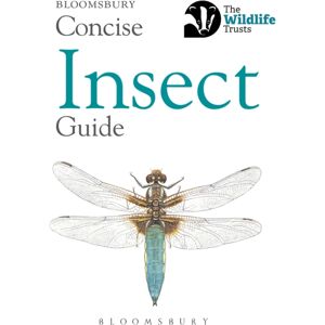 Bloomsbury Publishing PLC Concise Insect Guide Bloomsbury Publishing PLC Concise Insect Guide