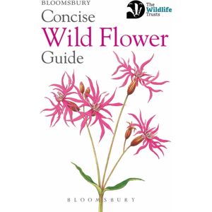 Bloomsbury Publishing PLC Concise Wild Flower Guide Bloomsbury Publishing PLC Concise Wild Flower Guide