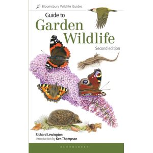 Bloomsbury Publishing PLC Guide To Garden Wildlife (2nd Edition) Bloomsbury Publishing PLC Guide To Garden Wildlife (2nd Edition)