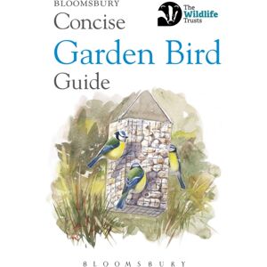 Bloomsbury Publishing PLC Concise Garden Bird Guide Bloomsbury Publishing PLC Concise Garden Bird Guide