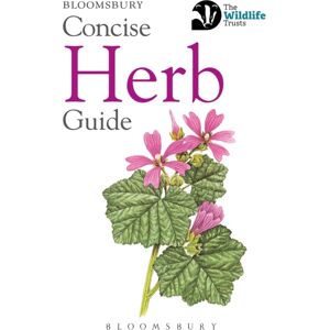 Bloomsbury Publishing PLC Concise Herb Guide Bloomsbury Publishing PLC Concise Herb Guide