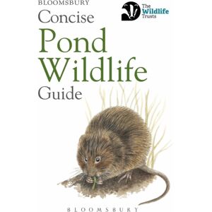 Bloomsbury Publishing PLC Concise Pond Wildlife Guide Bloomsbury Publishing PLC Concise Pond Wildlife Guide